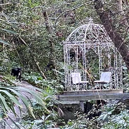 לינה וארוחת בוקר Chateau Les Alouettes